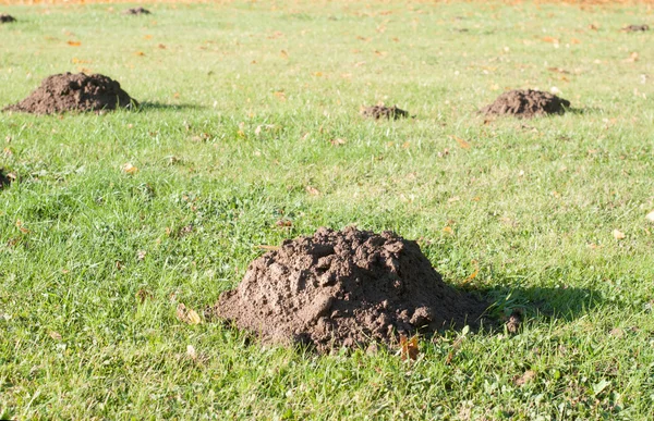 Maulwurfshügel im Sportstadion lizenzfreie Stockbilder