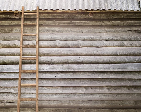 Round log wall background — Stock Photo, Image