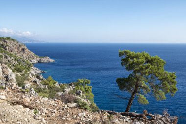 Güzel manzaralı sahil şeridi Karpathos Adası