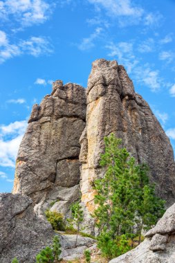 Custer State Park Rock Formation clipart