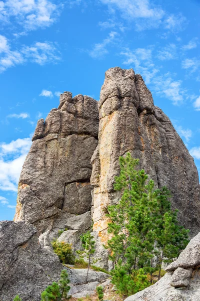 カスター州立公園の岩の形成 — ストック写真