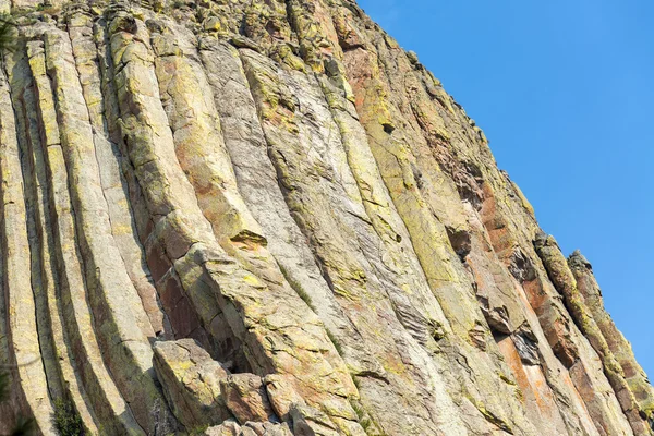 Devils Tower detalles — Foto de Stock