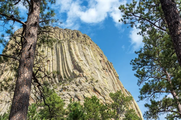 Closeup Devils Tower — Stock fotografie