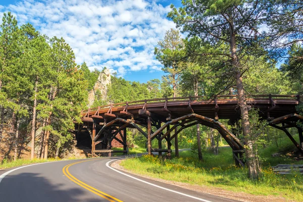 Γέφυρα σε Custer κρατικό πάρκο — Φωτογραφία Αρχείου