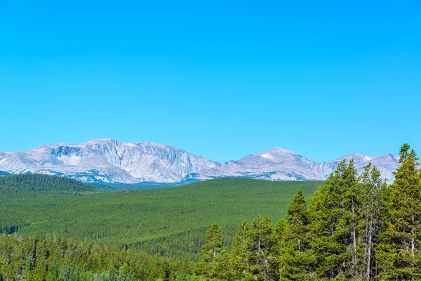 Dense Forest and Mountain Range — Stock Photo, Image