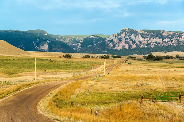 Estrada da sujeira para Montanhas Bighorn — Fotografia de Stock