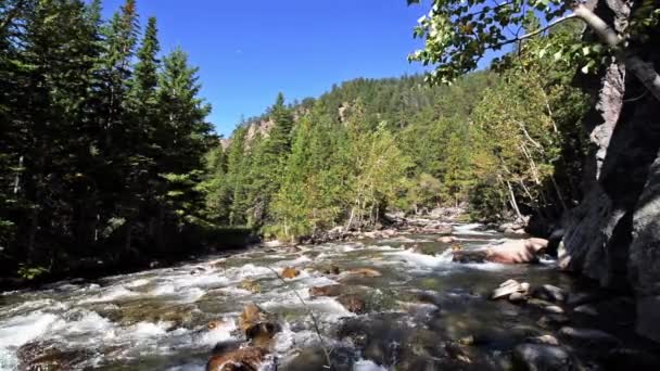 Cañón del Piney Sur — Vídeo de stock