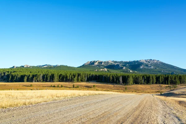 Grusväg och skog — Stockfoto