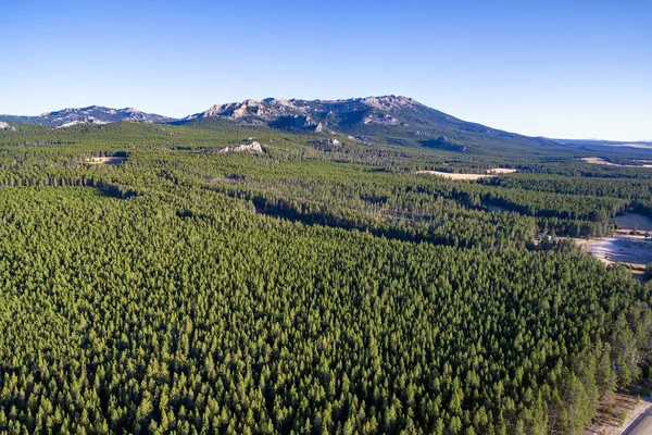 Bighorn Mountains i lasu — Zdjęcie stockowe