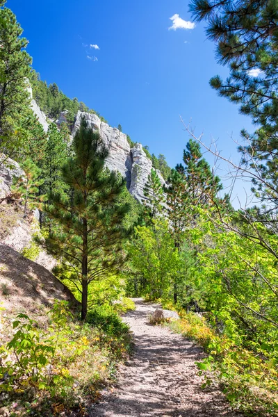 Trilha Caminhada em Wyoming Vertical — Fotografia de Stock