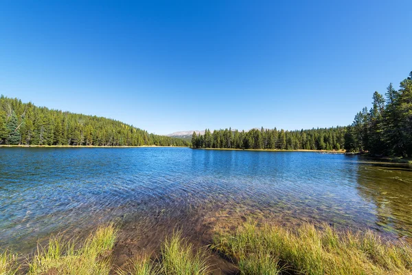 West Tensleep Lakeshore — Stock Photo, Image