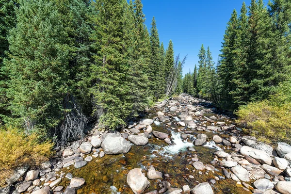 Захід Tensleep Creek — стокове фото