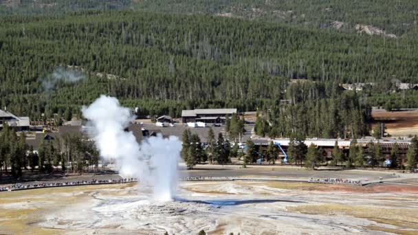 Old faithful erupce — Stock video