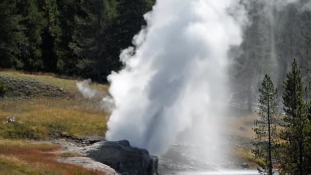 Riverside Geyser Fechar — Vídeo de Stock