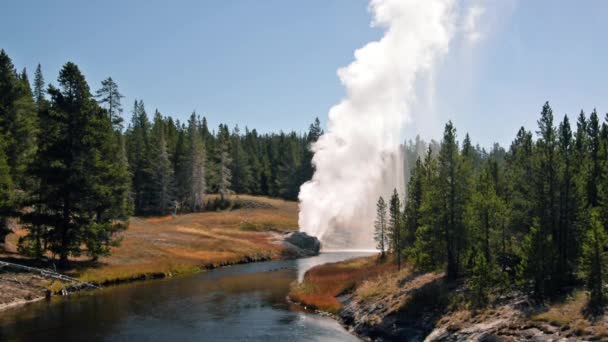 Géiser Riverside en Yellowstone — Vídeos de Stock