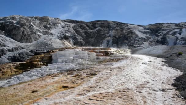 Mamute Hot Springs — Vídeo de Stock