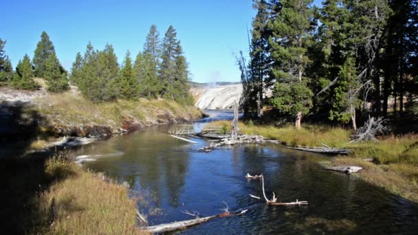 Yellowstone Nehri manzarası — Stok video