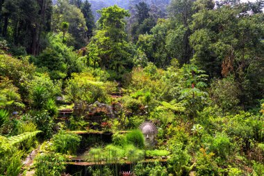 Garden at the Base of Monserrate clipart