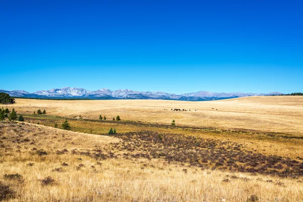 Tørre jorder i Wyoming – stockfoto