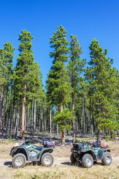 ATV i skogen — Stockfoto