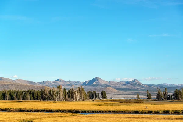 Valley and Mountains in Yellowstone — Stock Photo, Image