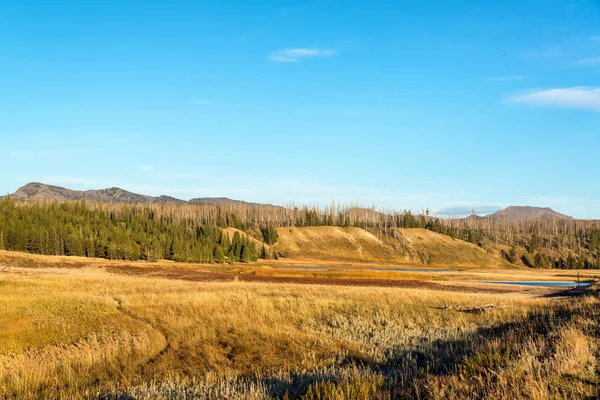 Pelican Valley landschap aan Yellowstone — Stockfoto