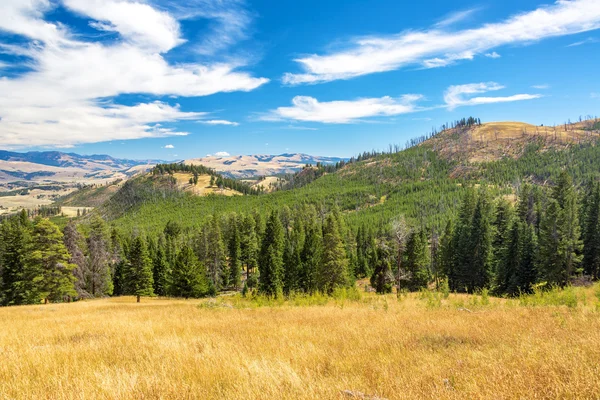 Landschap in het Yellowstone National Park — Stockfoto