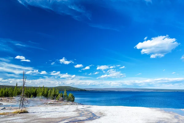 Yellowstone Lake Lakeshore — Stok Foto