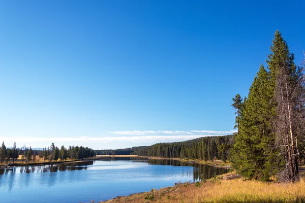 Paisaje del río Yellowstone — Foto de Stock