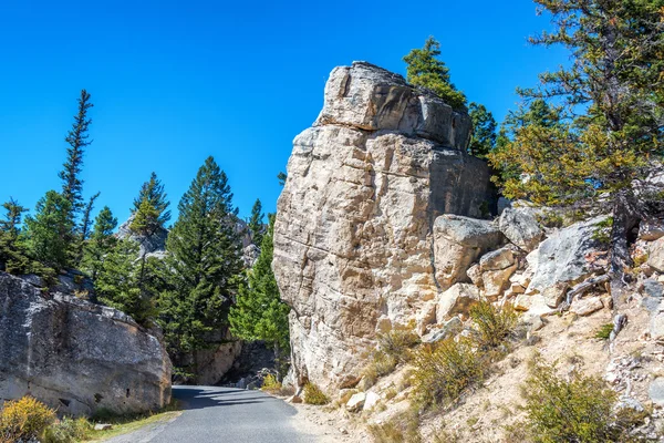 Weggetje in het Nationaal Park Yellowstone — Stockfoto