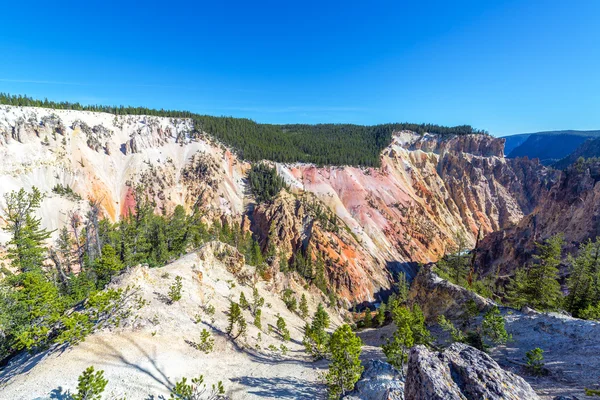 Grand Canyon of the Yellowstone View — Stock Photo, Image