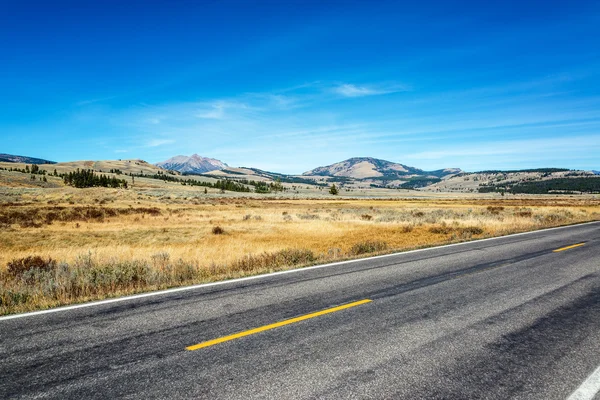 Route dans le parc national Yellowstone — Photo