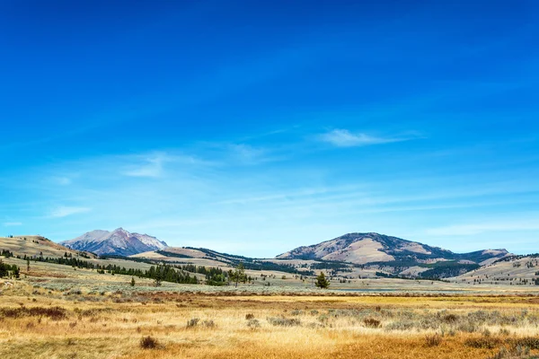 Yellowstone landschapsmening — Stockfoto