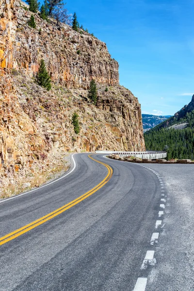 Silnice v Yellowstone vertikální zobrazení — Stock fotografie