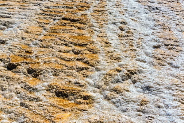 Mamut aguas termales vista de cerca — Foto de Stock