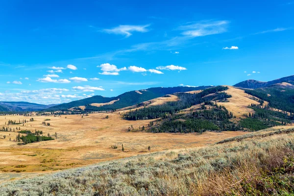 Ovalar ve Yellowstone tepelerde — Stok fotoğraf