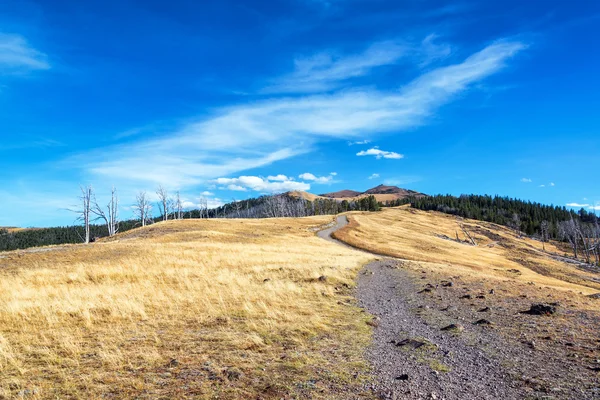 Uitzicht op Mount Washburn — Stockfoto