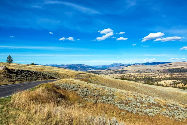 Strada e paesaggio di Yellowstone — Foto Stock