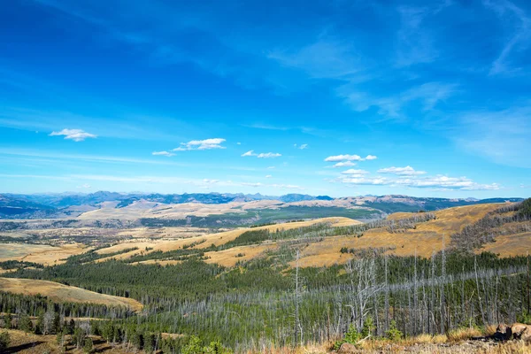 Yellowstone'da sağlam manzara — Stok fotoğraf