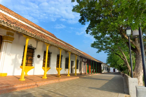 Calle colonial forrada de árboles — Foto de Stock