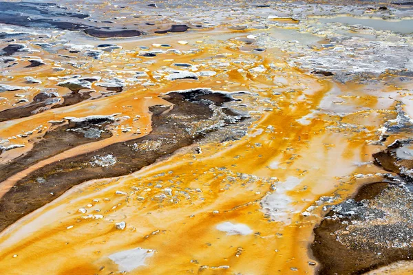 Estera de bacterias naranja y blanca —  Fotos de Stock