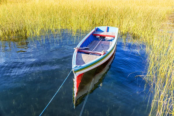 Buntes Boot und Schilf — Stockfoto