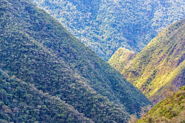 丛林覆盖的山丘 — 图库照片