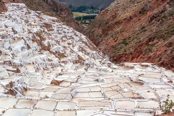 Producción de sal peruana — Foto de Stock