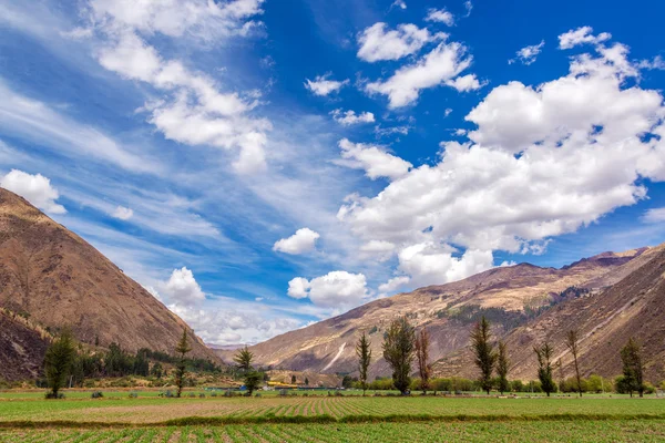 Campos del Valle Sagrado — Foto de Stock