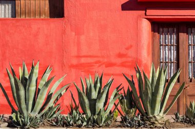 Red Wall and Plants clipart