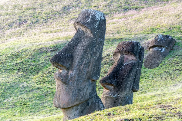 To moai-statuer – stockfoto