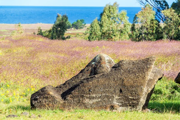 Trasiga Moai huvud — Stockfoto