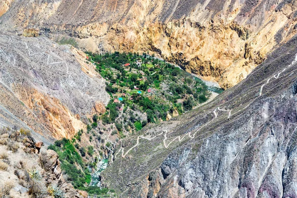 Kanion Colca Oasis — Zdjęcie stockowe