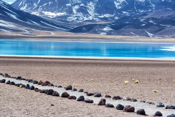 Lake Miscanti in Chile — Stock Photo, Image